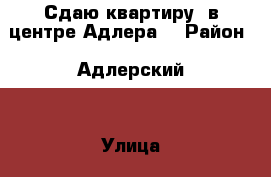 Сдаю квартиру  в центре Адлера  › Район ­ Адлерский  › Улица ­ Ульянова › Этажность дома ­ 1 › Цена ­ 27 000 - Краснодарский край, Сочи г. Недвижимость » Квартиры аренда   